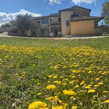 Ignoto Apartmán Bale