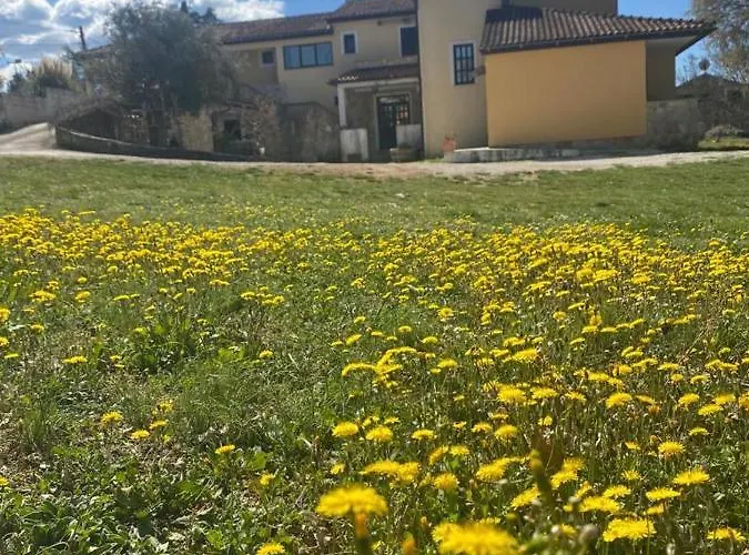 Ignoto Appartamento Bale